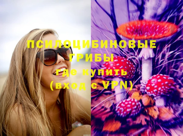 тгк Алексеевка